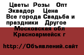 Цветы. Розы.  Опт.  Эквадор. › Цена ­ 50 - Все города Свадьба и праздники » Другое   . Московская обл.,Красноармейск г.